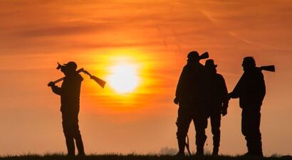 Afbeelding Schadelijk wildmorgen 